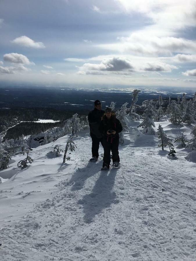 Au Pied Des Monts-Valin, Hebergement Touristique Saint-Honoré Eksteriør bilde